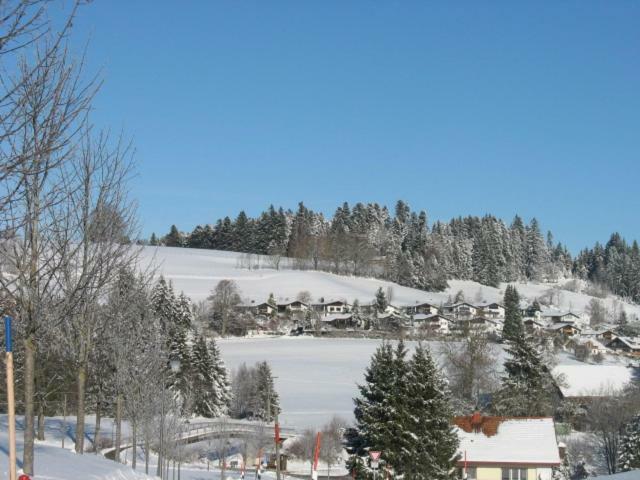 Appartamento Haus Lenzhalde Oberreute Esterno foto